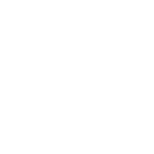 Noob To Master Logo